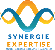 Cabinet Synergie Expertise Sarl